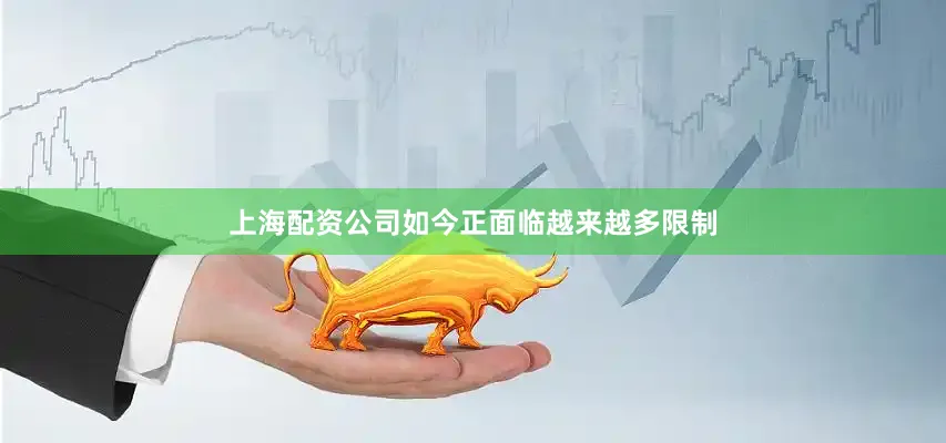 上海配资公司如今正面临越来越多限制