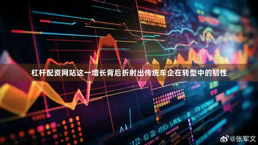 杠杆配资网站这一增长背后折射出传统车企在转型中的韧性