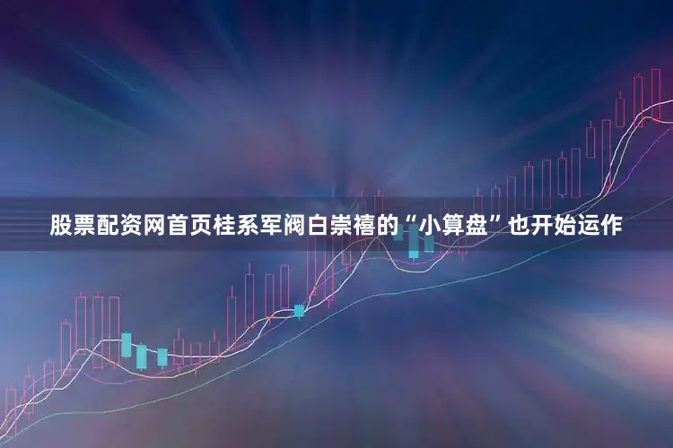 股票配资网首页桂系军阀白崇禧的“小算盘”也开始运作